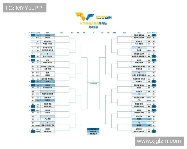 2012年欧洲足球预选赛瑞典对阵荷兰精彩对决回顾与分析