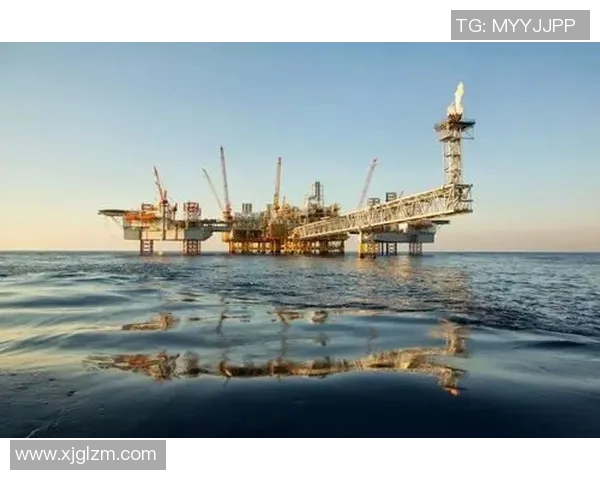 东方石油与威斯特曼的较量：能源市场的未来之争与发展机遇分析