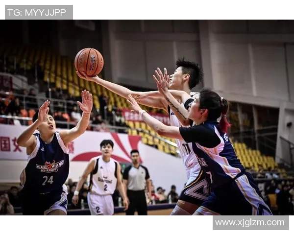 2020年广东与辽宁精彩对决录像回放全景解析与赛后点评