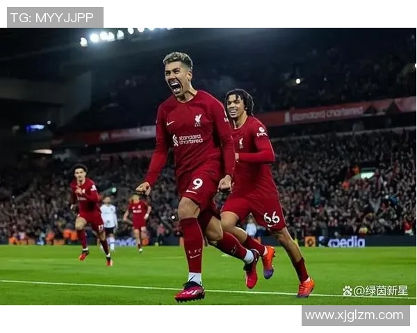 加克波:从新星崛起到国际赛场的闪耀之路 加克波:从新星崛起到国际赛场的闪耀之路