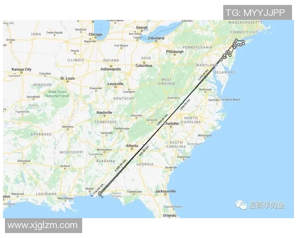 华盛顿与波特兰比赛分析及胜负推荐策略分享