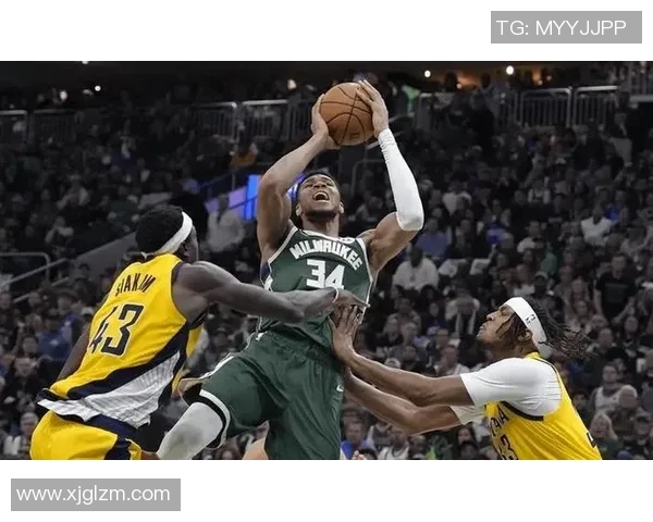 字母哥决定不提前续约专注雄鹿能否夺冠表现 字母哥决定不提前续约专注雄鹿能否夺冠表现