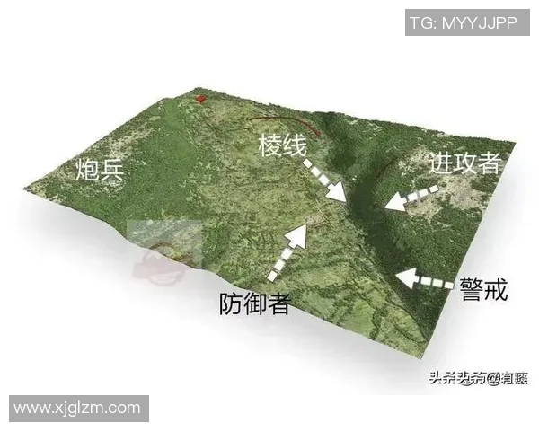 南京排球队防反战术解析与赛场表现的深度剖析