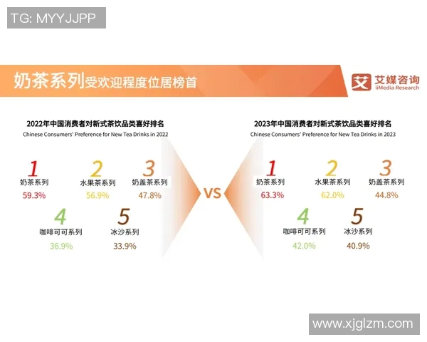 杭州排球队防反战术解析与热点动态全景解读