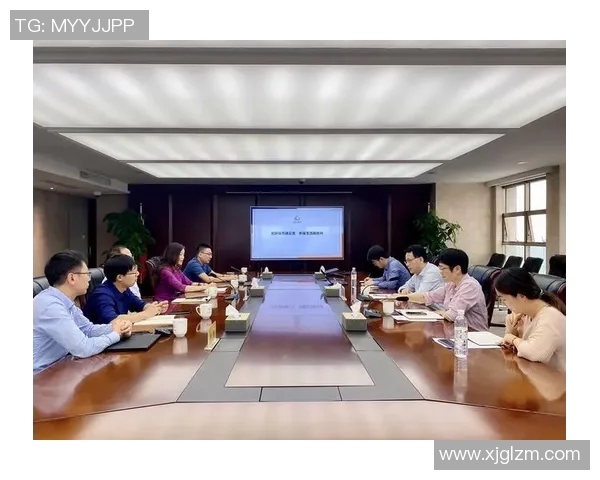 LNG市场反击策略深度分析与未来发展趋势探讨